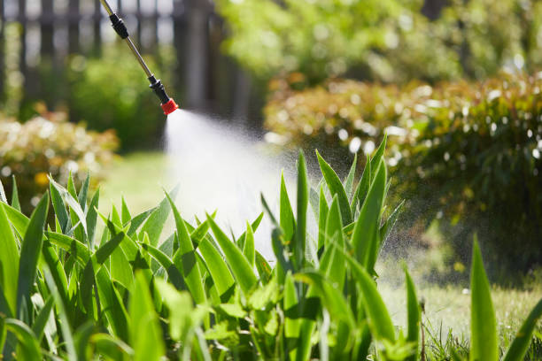 24/7 Emergency Wasp Removal experts in Renville, MN